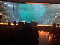 IMG_0935.jpeg