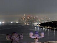 IMG_6275.jpeg